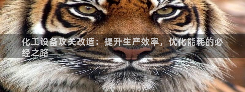 新宝gg注册登录账号