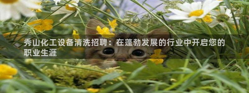 新宝GG平台登录注册