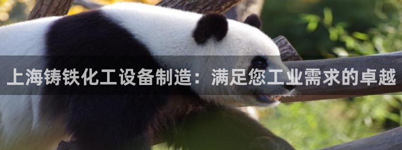 新宝gg官网登录找代理
