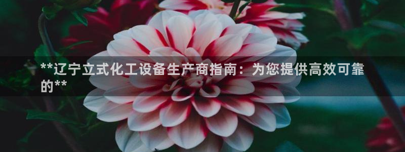 新宝gg案件