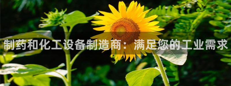新宝GG平台开户