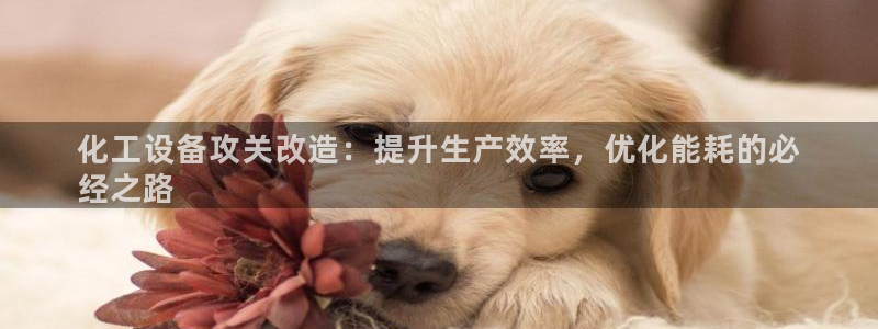 新宝gg怎么登录不了