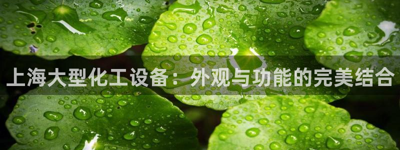 新宝gg创造奇迹平台怎么样