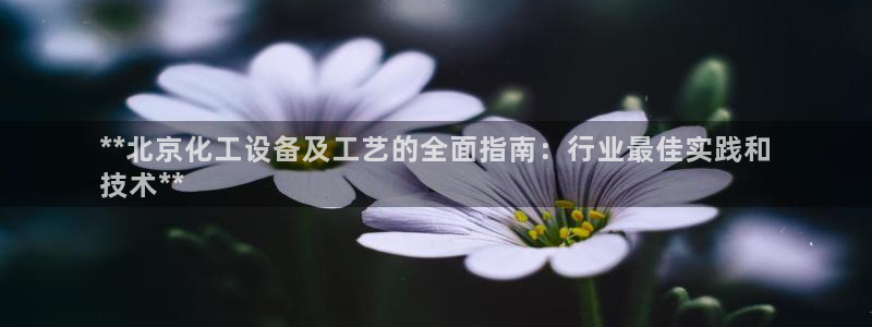 新宝gg官网登录地址