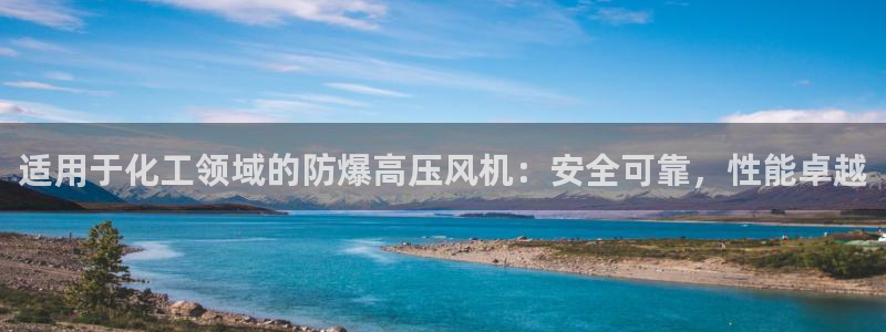新宝gg登录入口