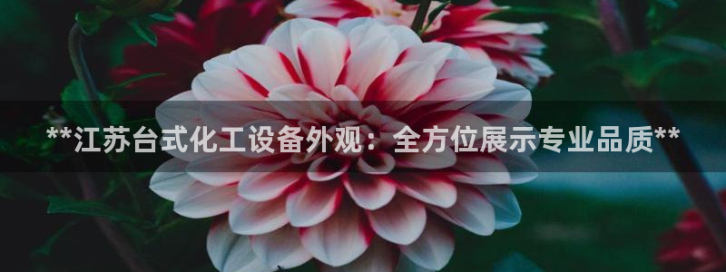 新宝GG平台注册开户