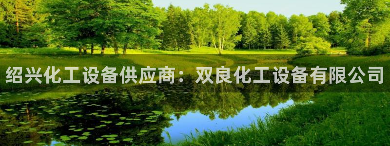 新宝gg游戏首页