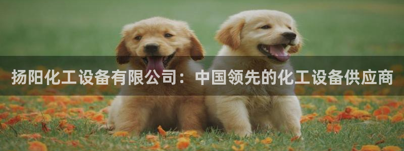新宝gg黑钱怎么办
