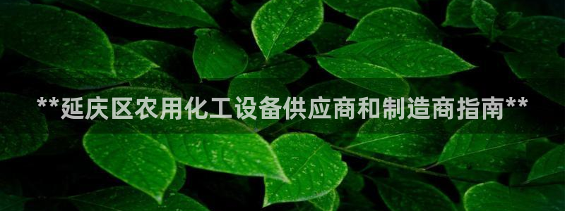 新宝gg游戏平台客服