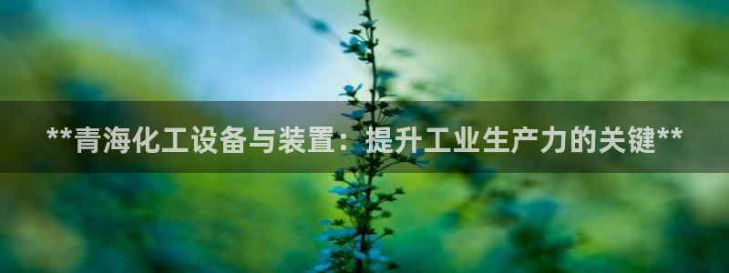 新宝gg官网登录代理