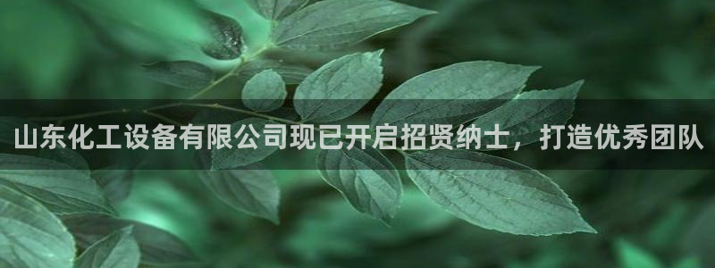 新宝gg创造奇迹登录平台