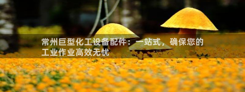 新宝gg账号首页