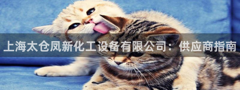 新宝gg创造奇迹为什么登录不了了