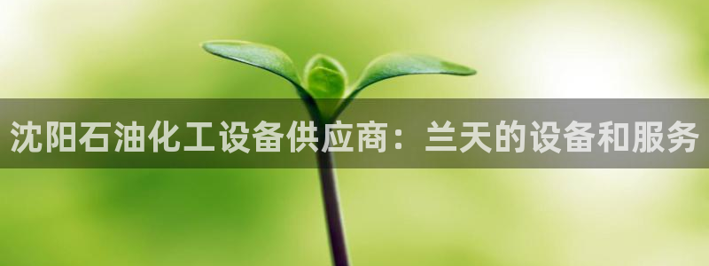 新宝gg创造奇迹怎么登录不上去