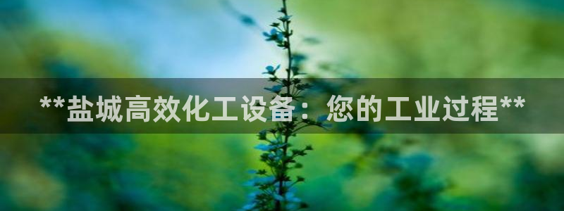 新宝gg为什么登不上去了