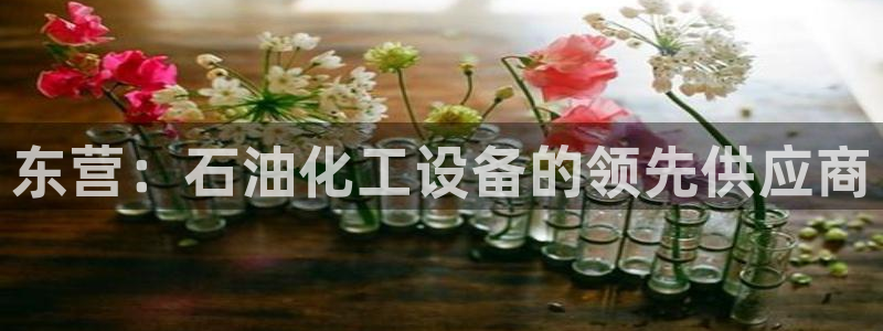 新宝gg平台是否合法
