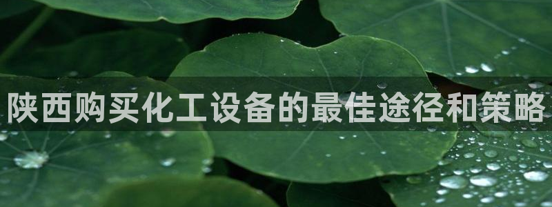 新宝GG平台登录注册