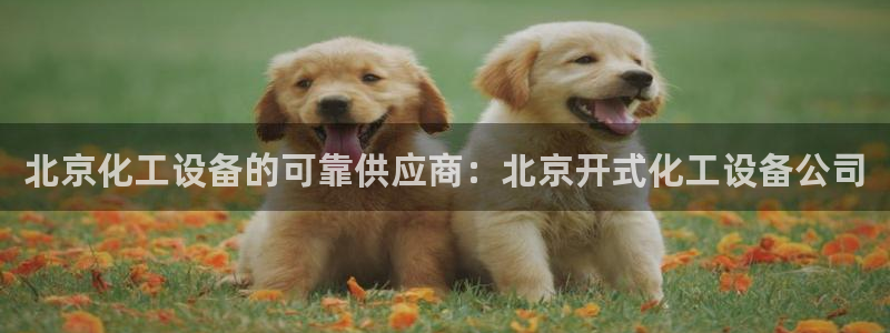新宝gg创造奇迹平台怎么样