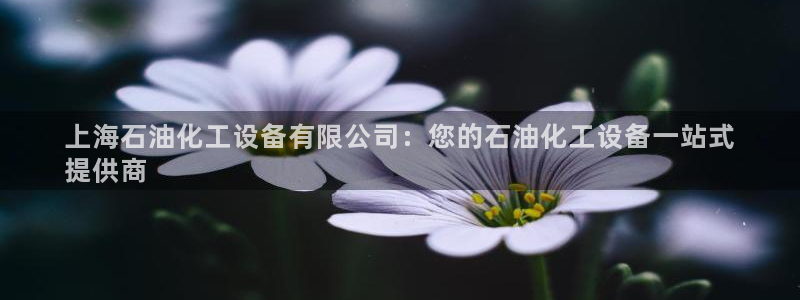新宝GG创造奇迹