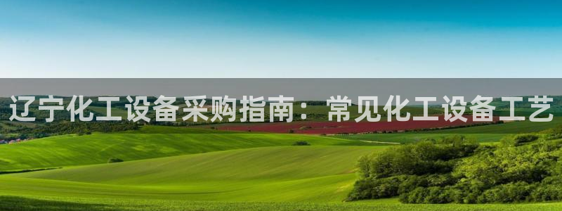 新宝gg平台注册网址