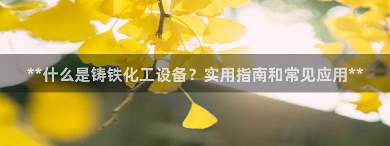 新宝gg官网登录地址
