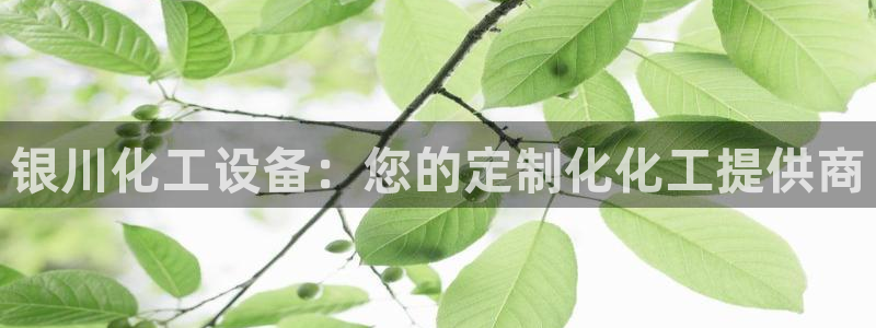 新宝gg创造奇迹登录注册玩法