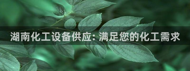 新宝GG创奇迹