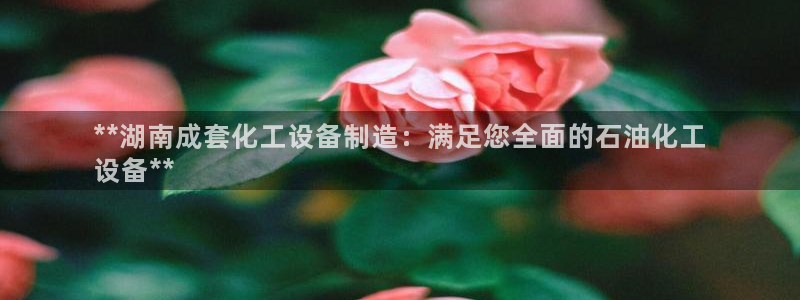 新宝gg创造奇迹代理