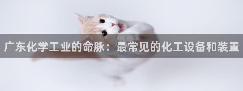 新宝GG平台电话