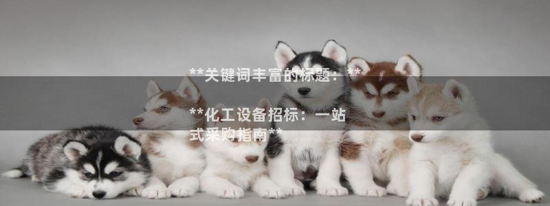 新宝gg创造奇迹代理