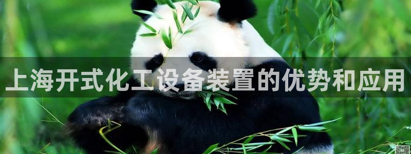 新宝gg官网登录代理