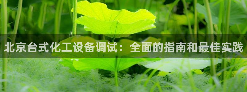 新宝gg账号首页