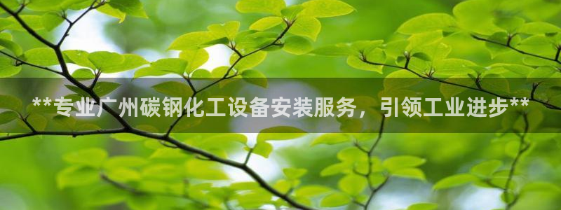 新宝GG平台注册开户：**专业广州碳钢化工设备安装