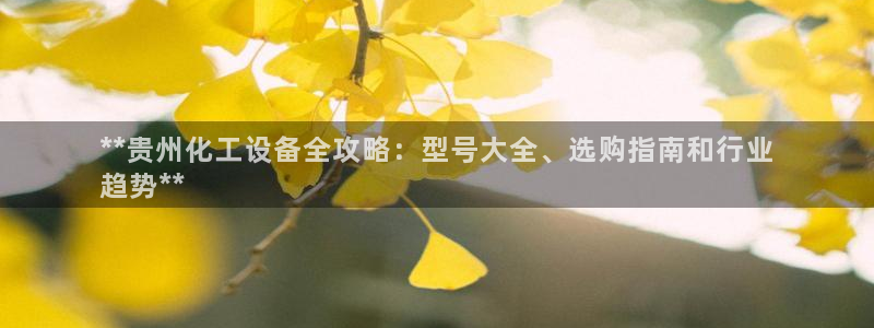 新宝gg登录了还能上吗