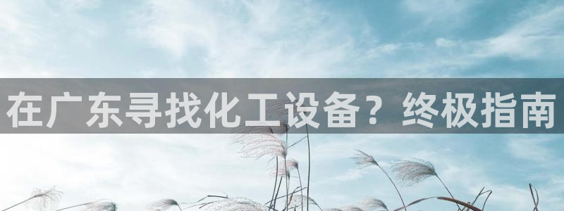 新宝gg平台注册?：在广东寻找化工设备？终极指南