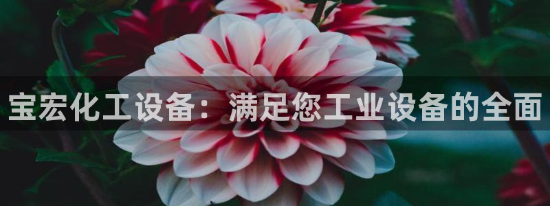 新宝gg登录不了是什么原因：宝宏化工设备：满足您工