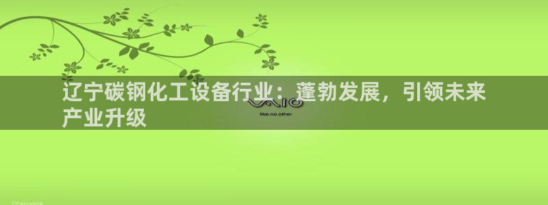 新宝gg平台—创造奇迹登录