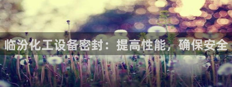 新宝gg创造奇迹官方登录入口