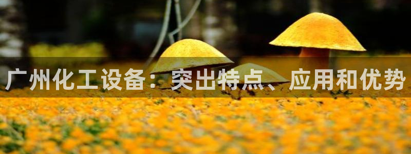 新宝gg 创造奇迹：广州化工设备：突出特点、应用和