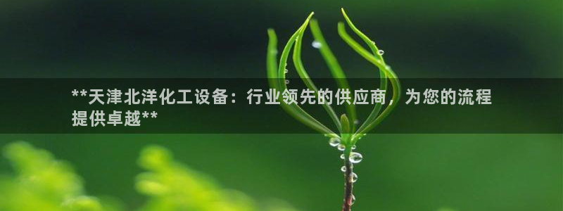 新宝gg招商主管