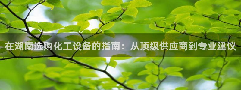 新宝gg登录不上去了