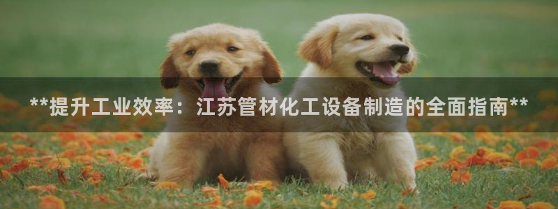 新宝gg—创造奇迹官网
