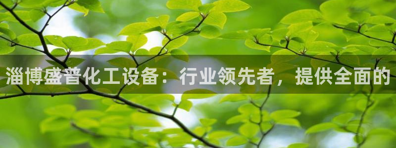新宝gg奇迹登录怎么登录不了