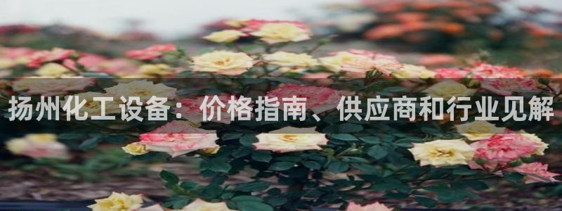 新宝GG平台招商