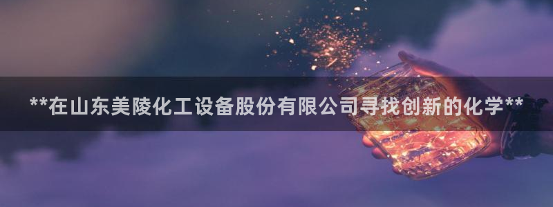 新宝gg平台登录手机版
