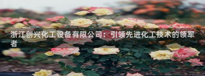 新宝gg注册平台
