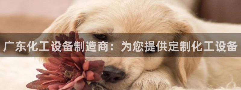 新宝gg怎么退钱