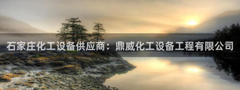 新宝gg奇迹登录怎么登录不了