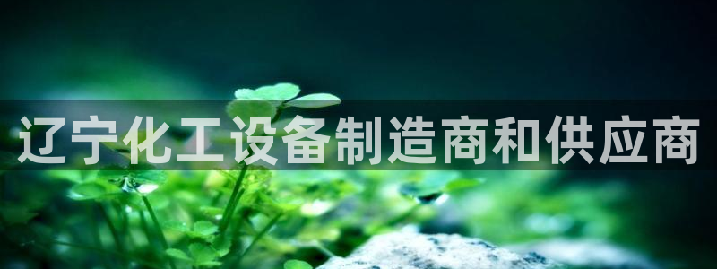 新宝GG创奇迹