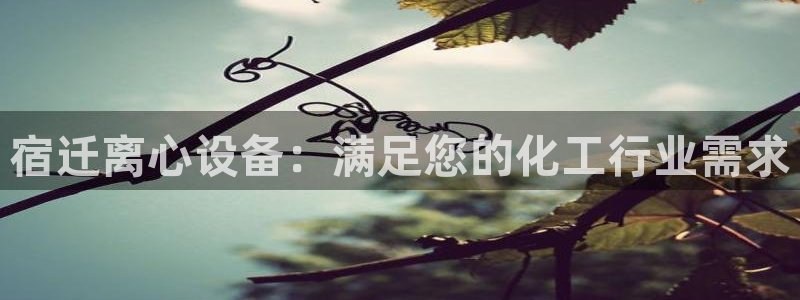 新宝gg创造奇迹登录最简单三个步骤